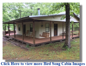 Bird Song Cabin in Big Cedar, Oklahoma